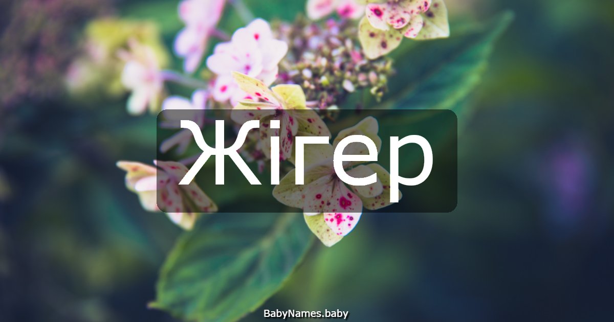Жігер