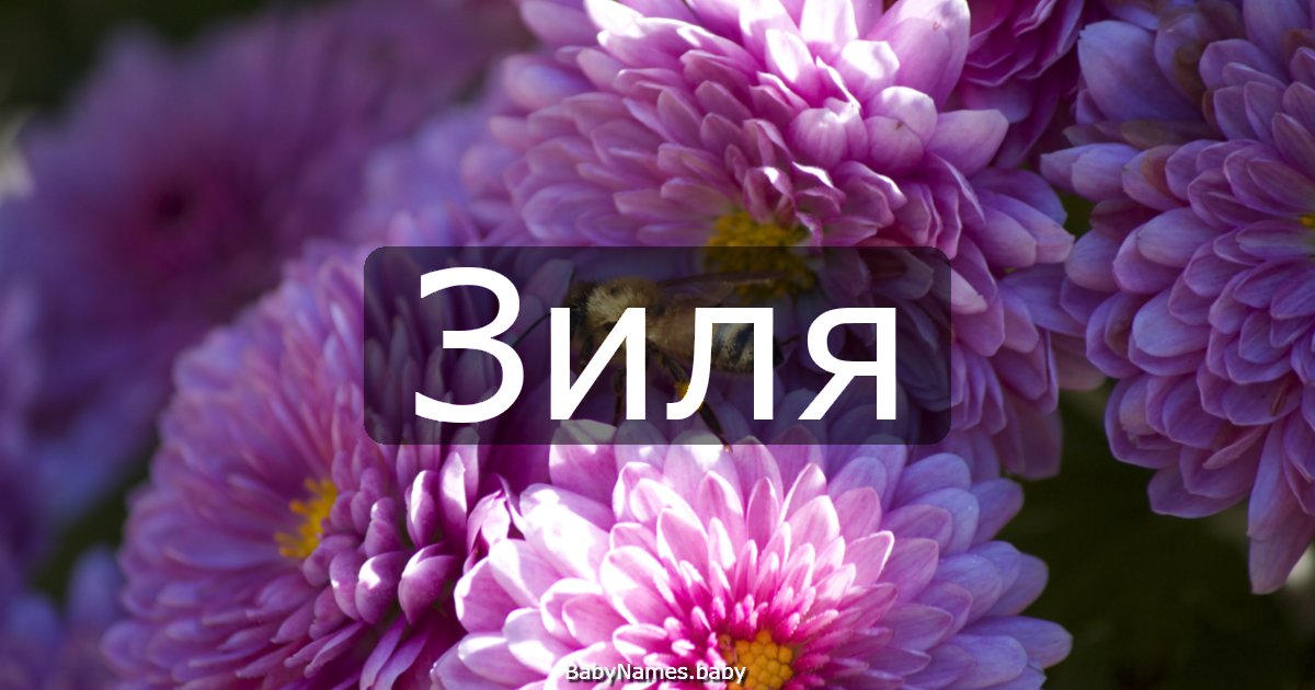 Зиля