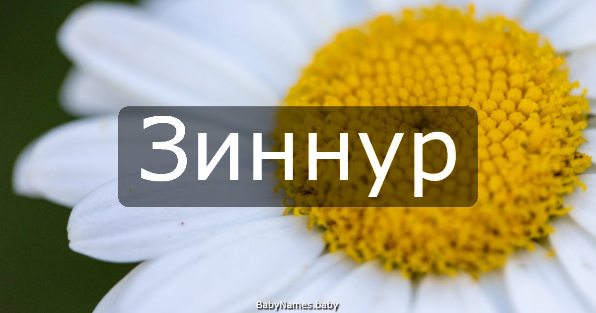 Зиннур