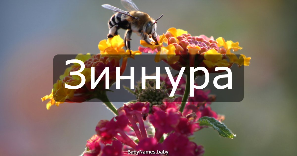 Зиннура