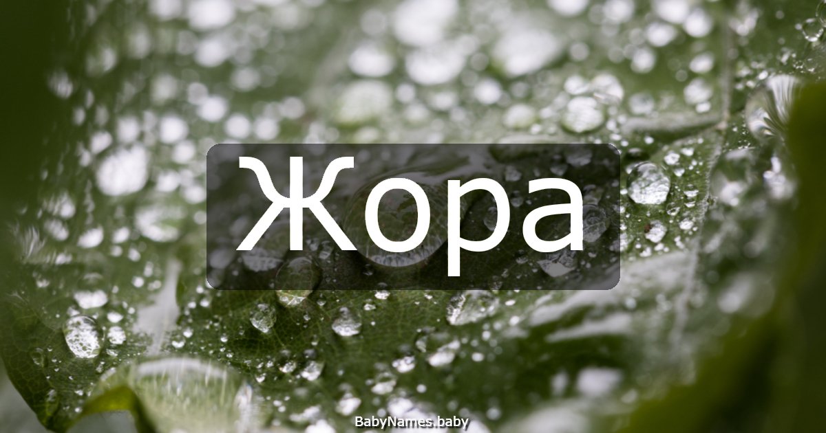 Жора