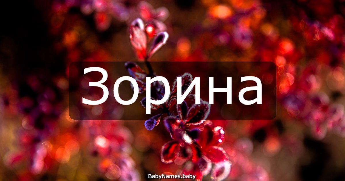 Зорина