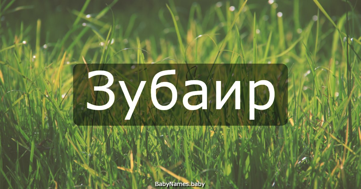 Зубаир