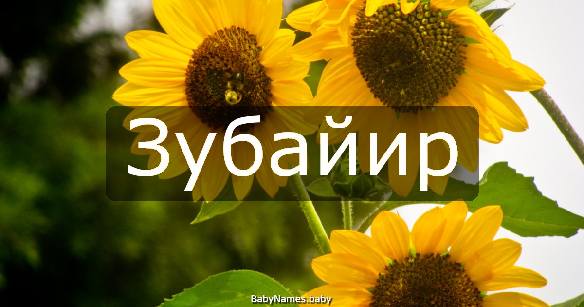 Зубайир