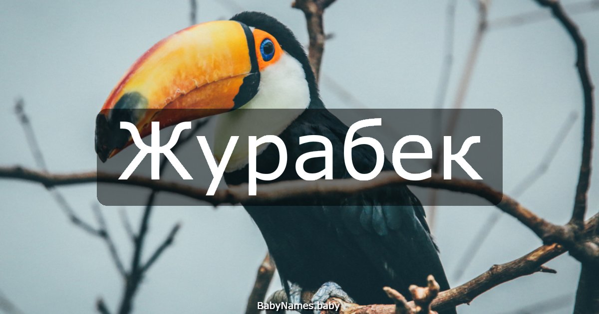 Журабек