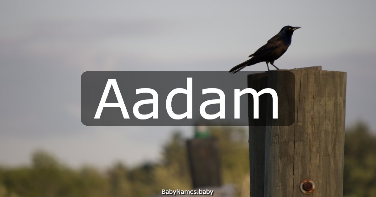 Aadam