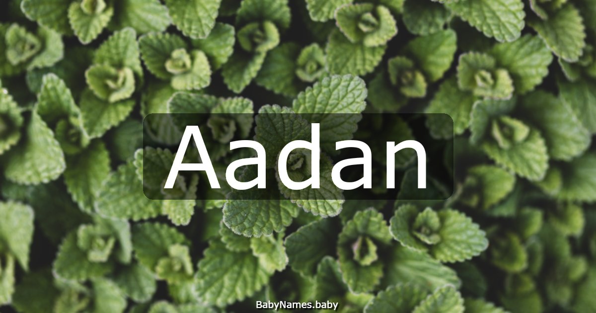 Aadan