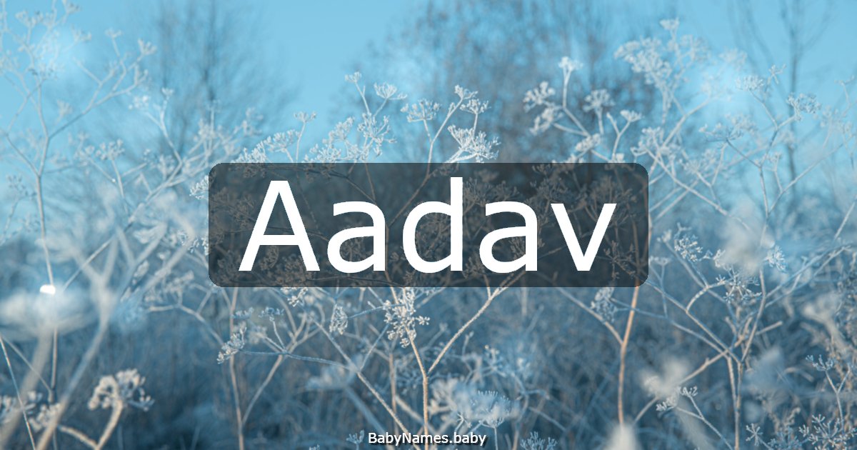 Aadav