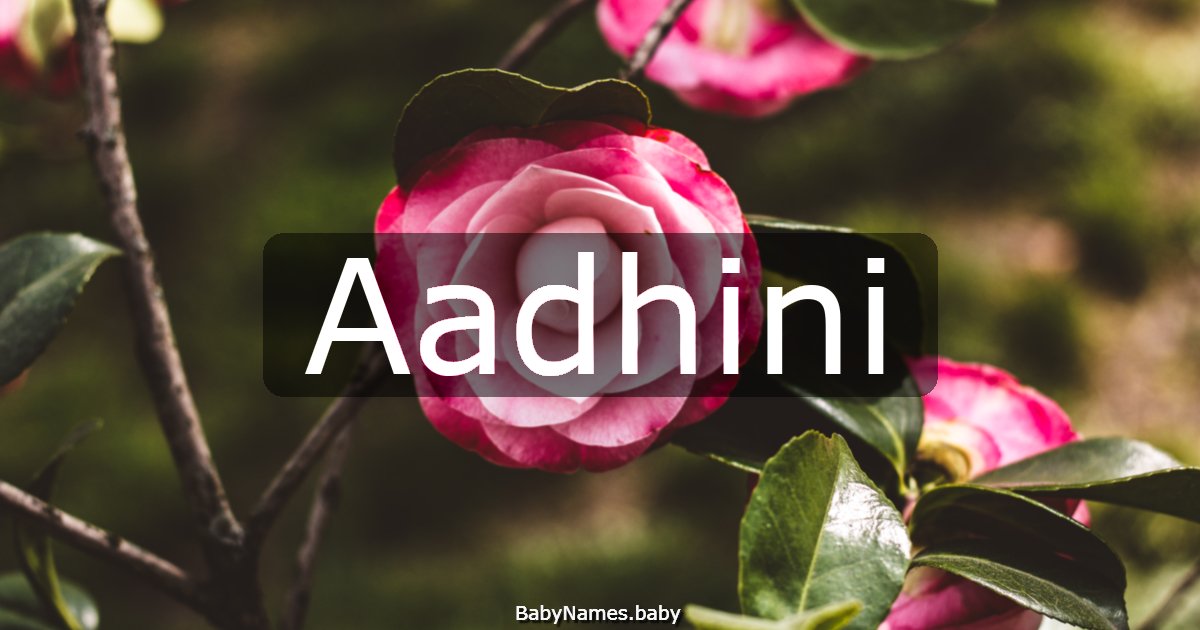 Aadhini