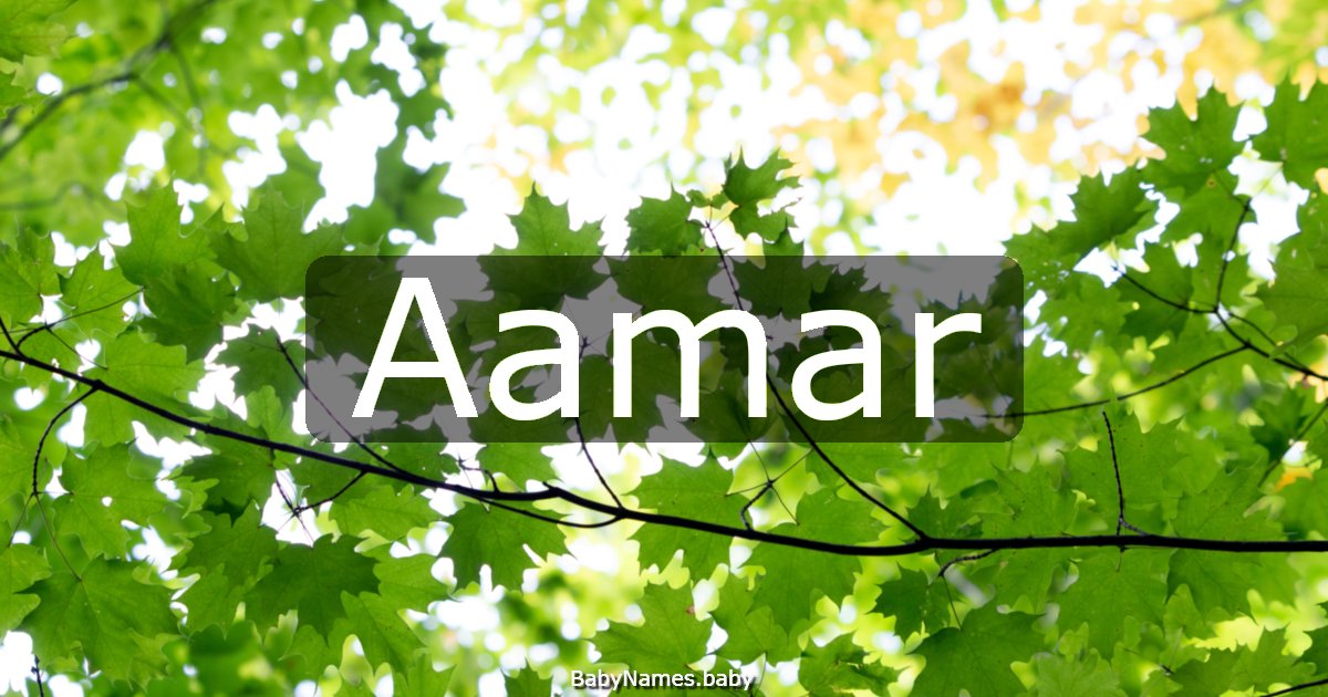 Aamar