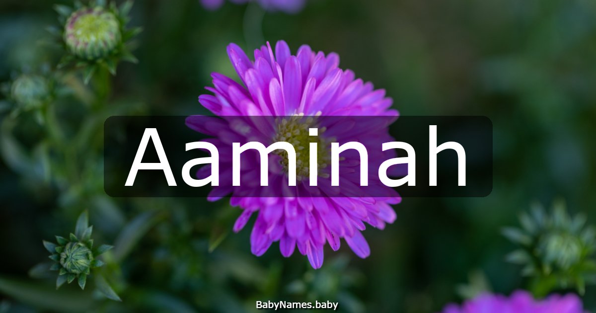 Aaminah