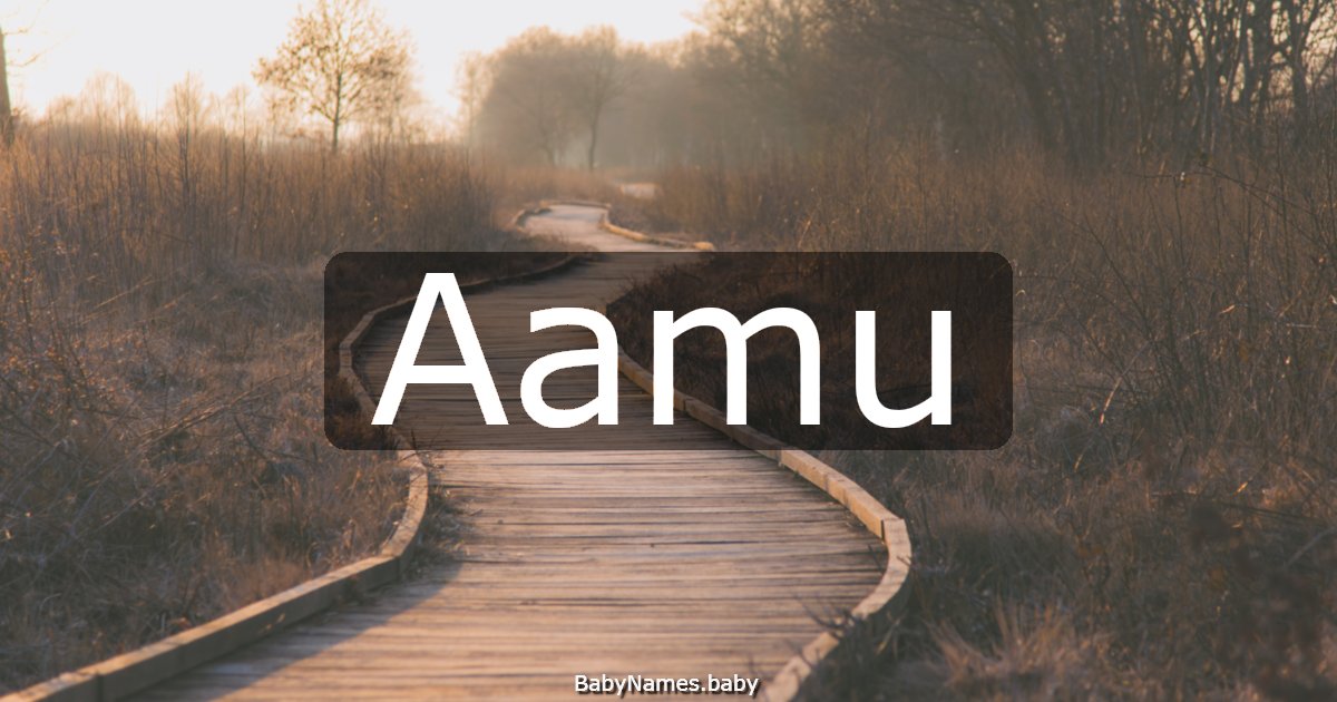 Aamu