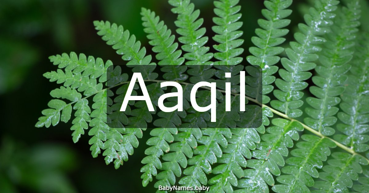 Aaqil