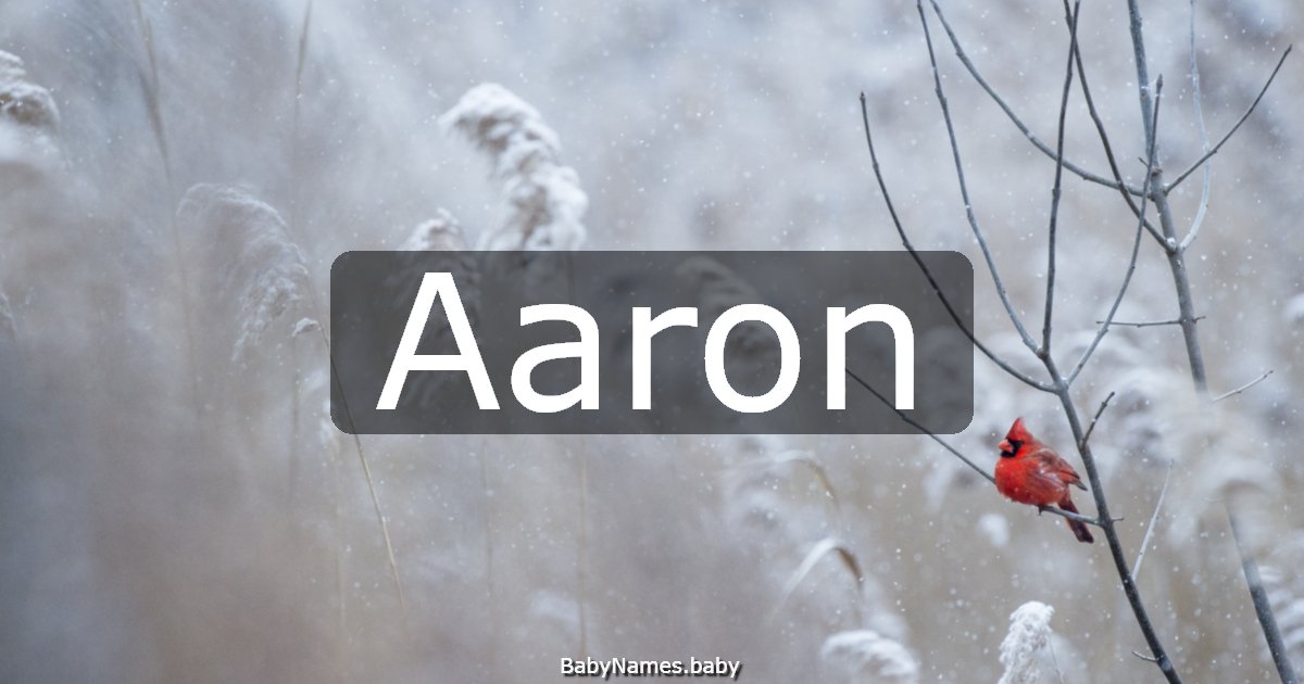 Aaron
