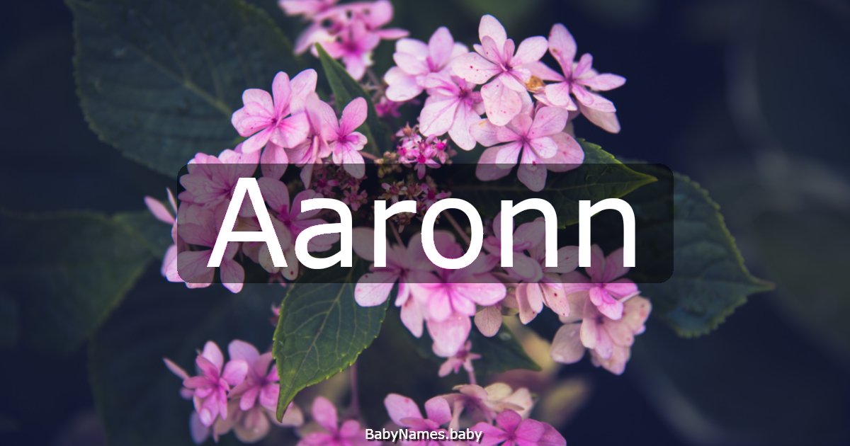 Aaronn