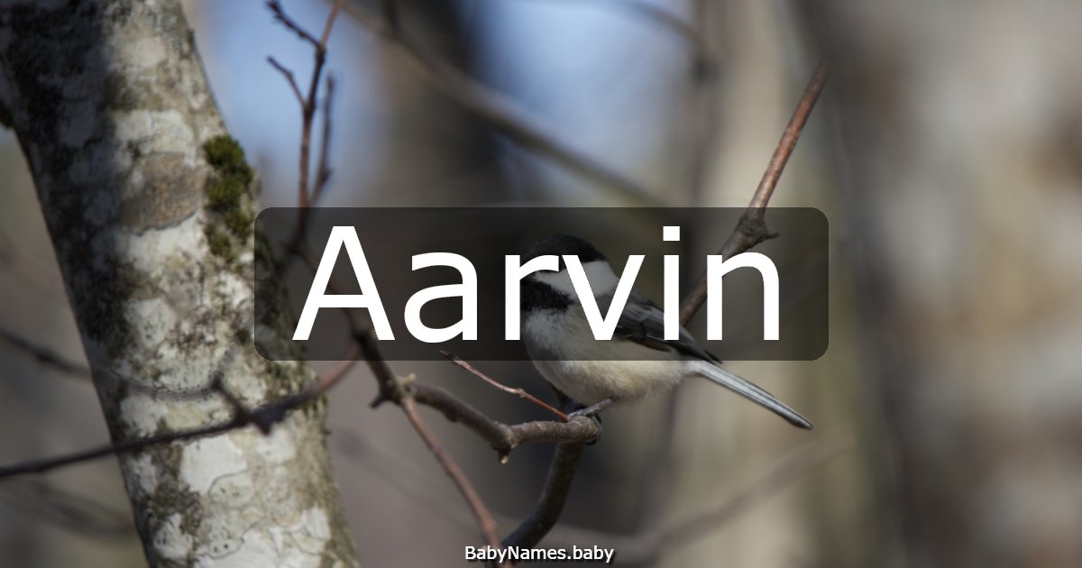 Aarvin