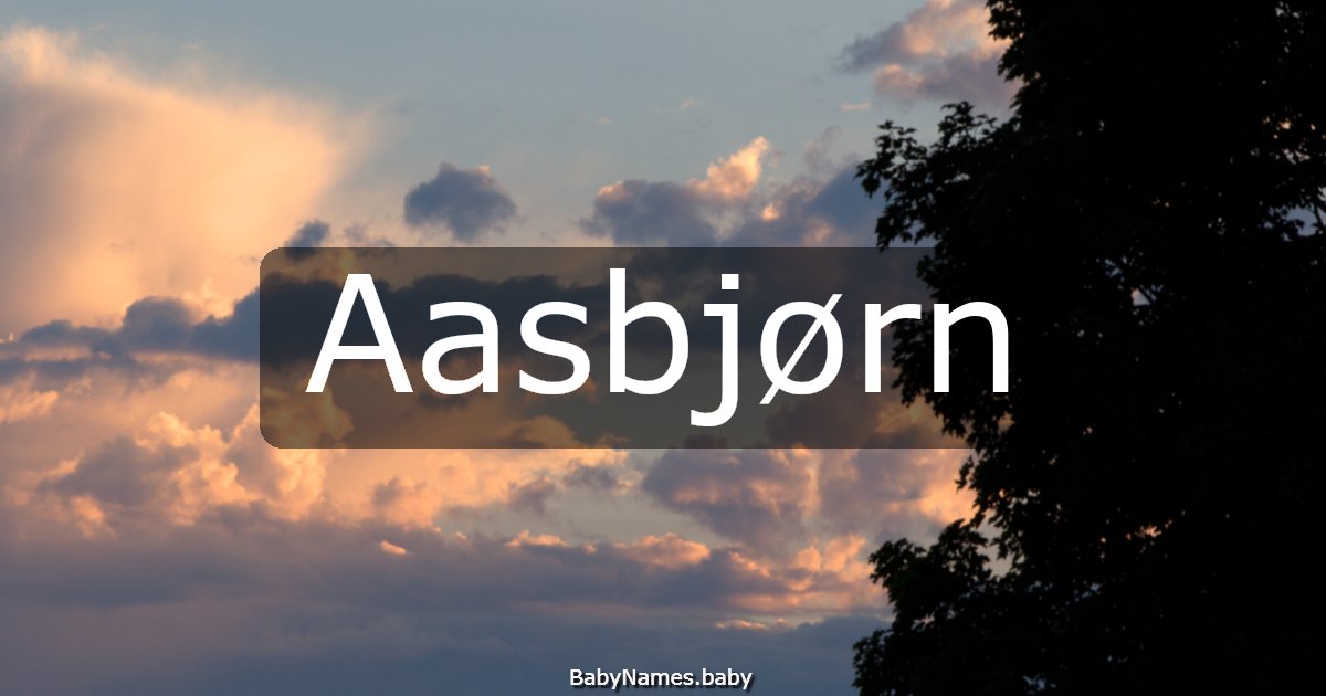 Aasbjørn