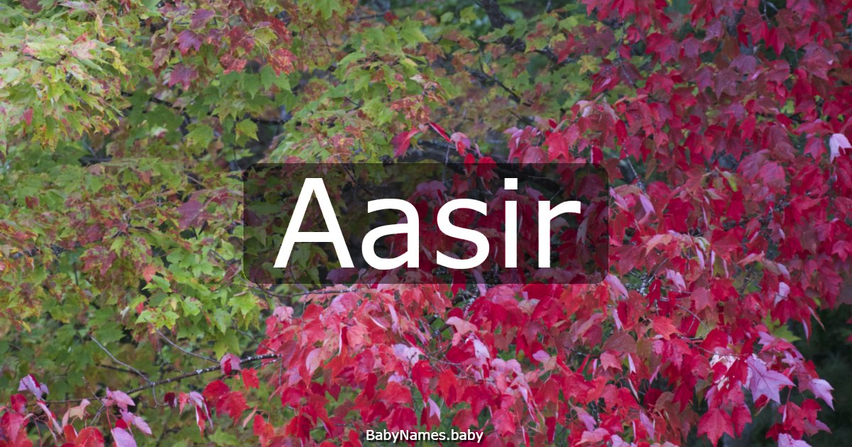 Aasir