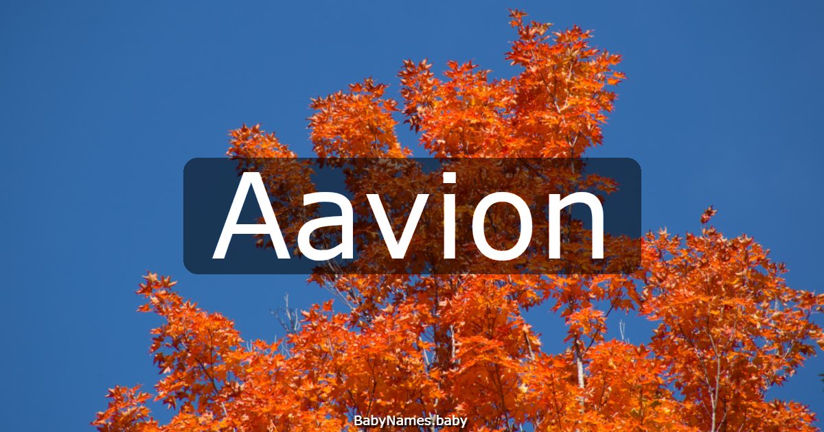 Aavion