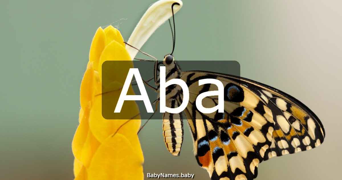 Aba