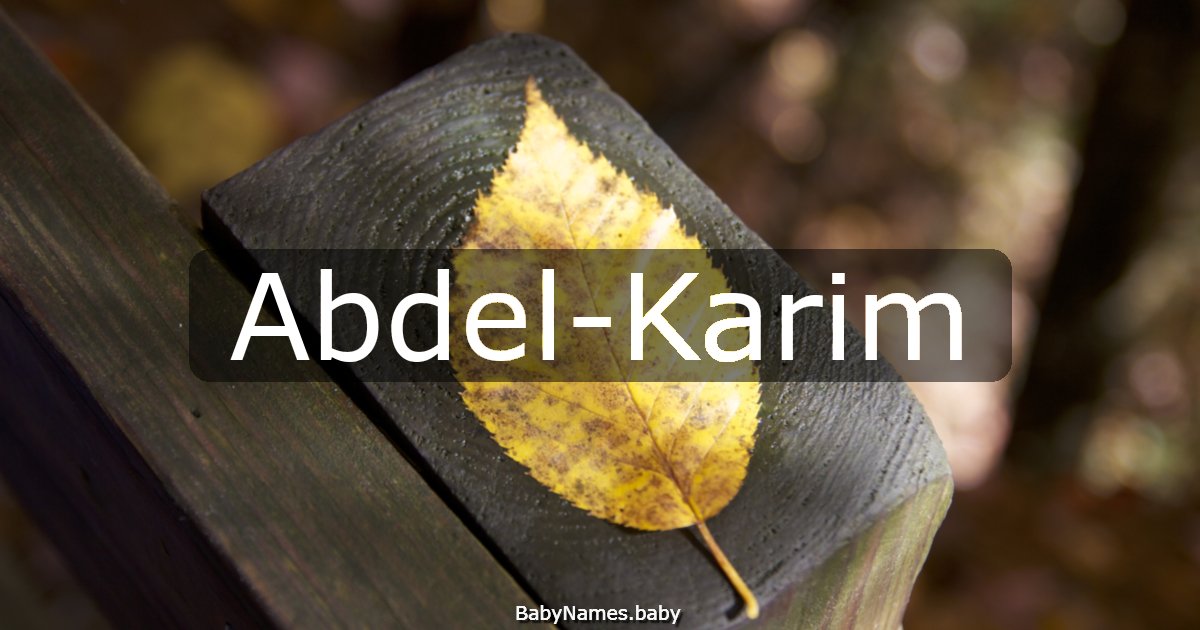 Abdel-Karim