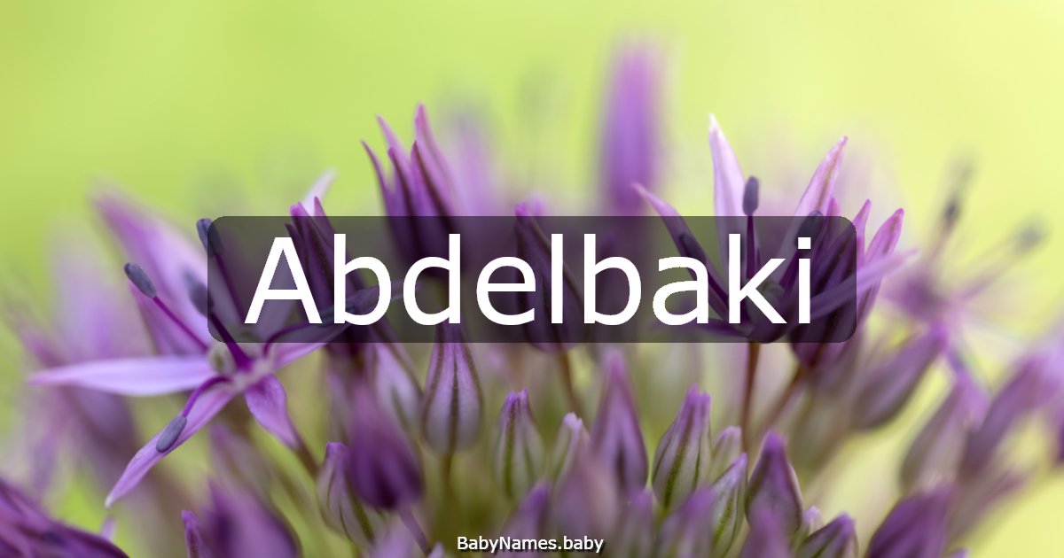 Abdelbaki