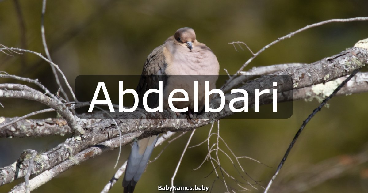 Abdelbari