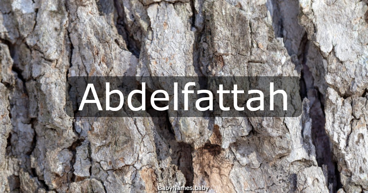 Abdelfattah