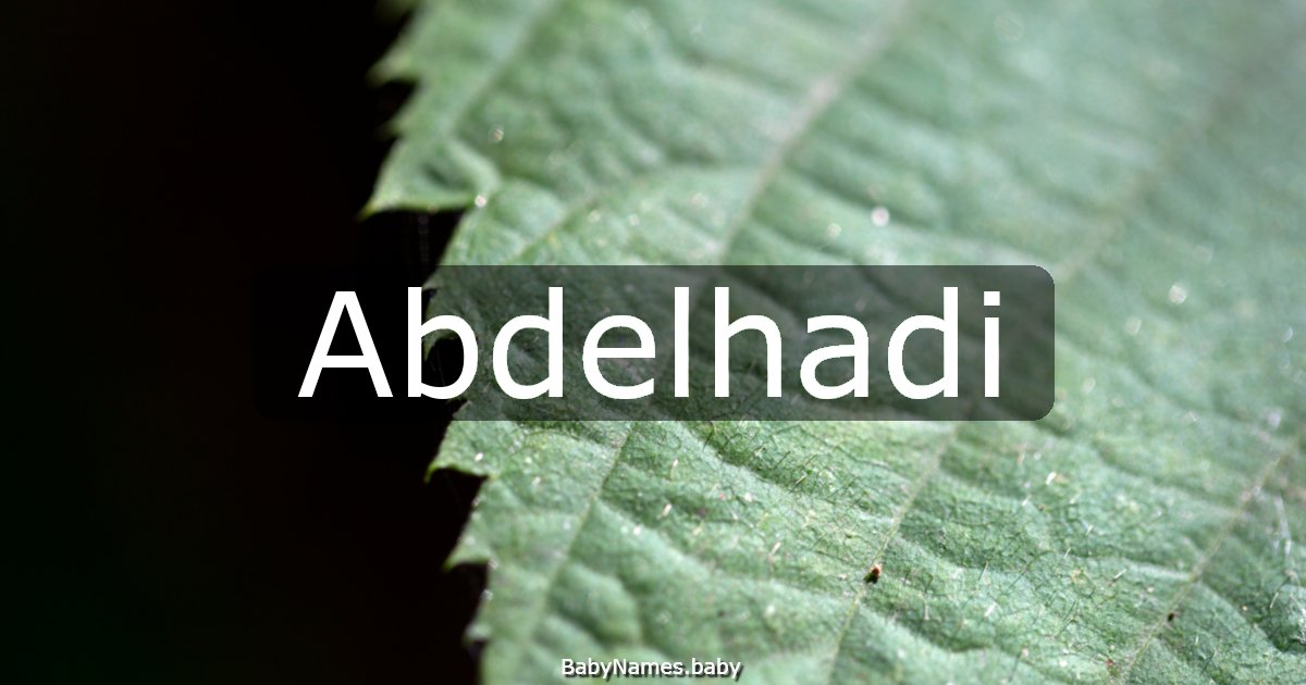 Abdelhadi
