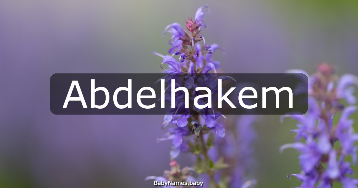 Abdelhakem