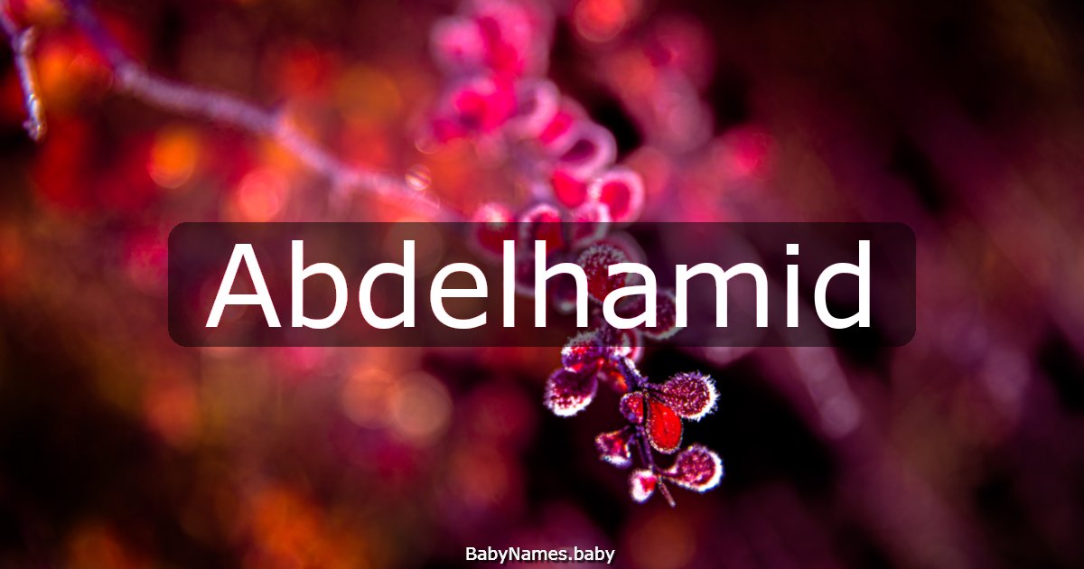 Abdelhamid