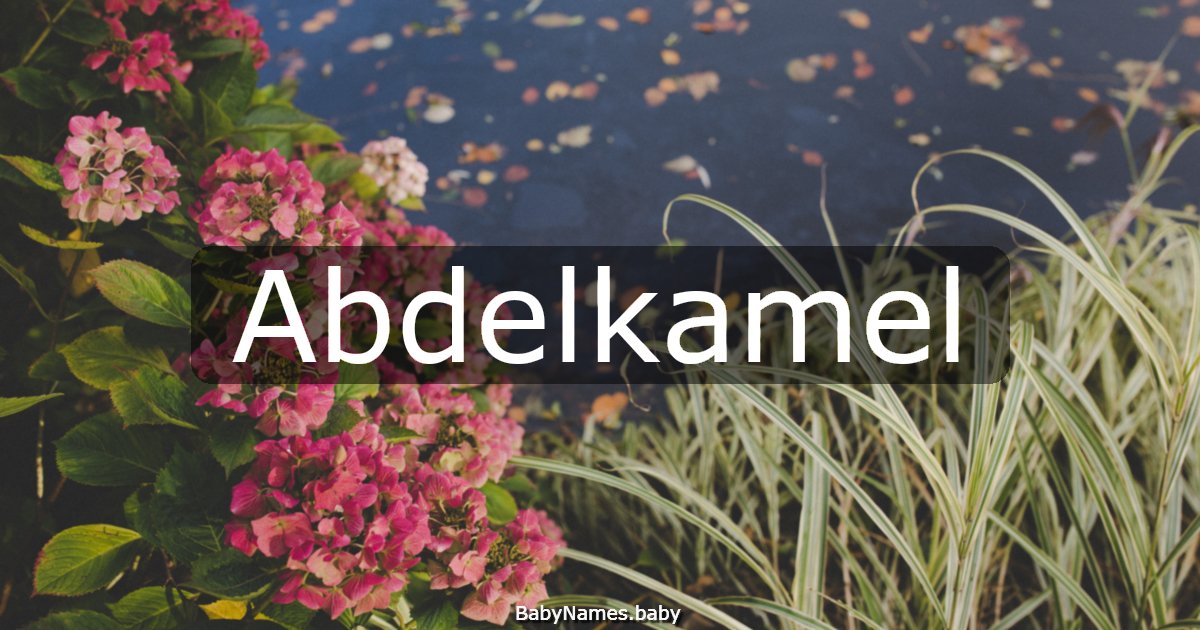 Abdelkamel