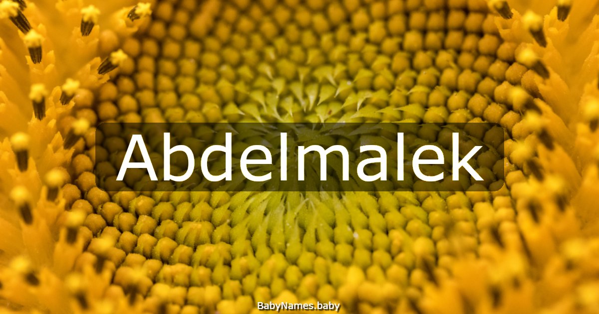 Abdelmalek