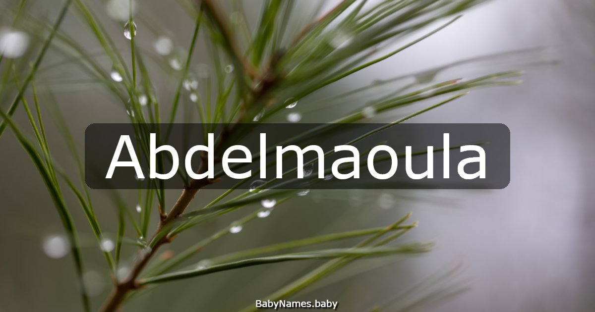 Abdelmaoula