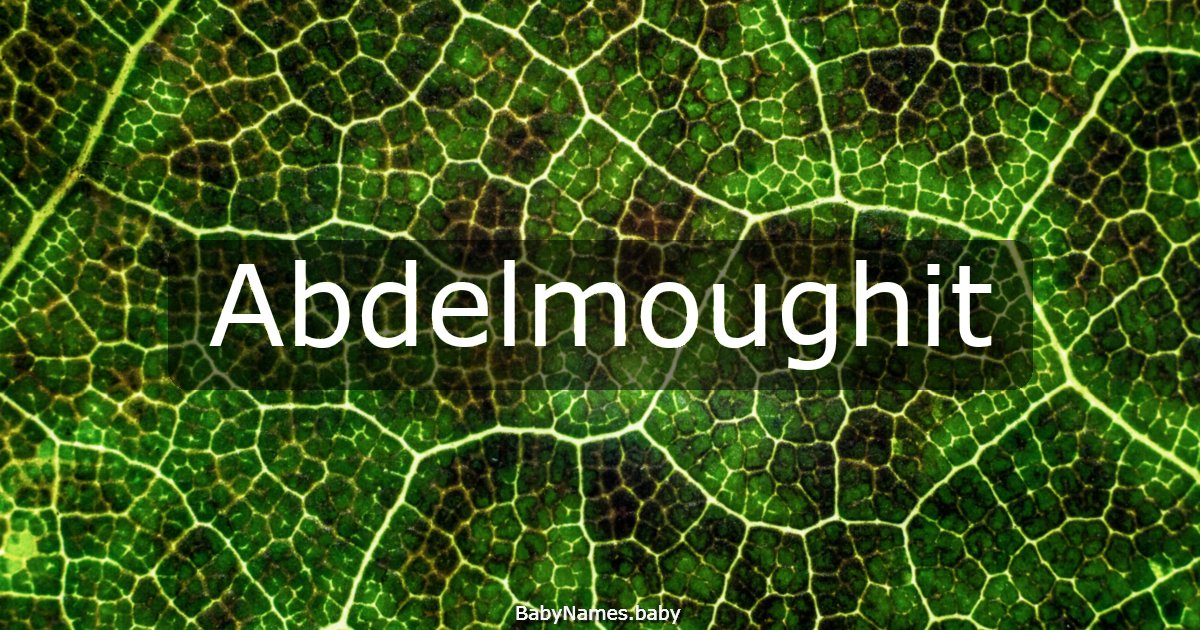 Abdelmoughit