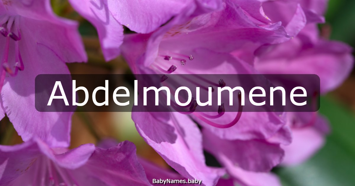 Abdelmoumene
