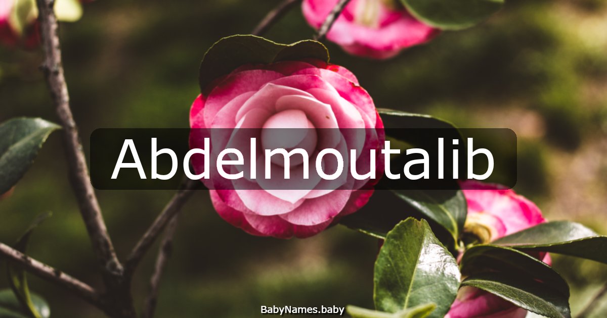 Abdelmoutalib