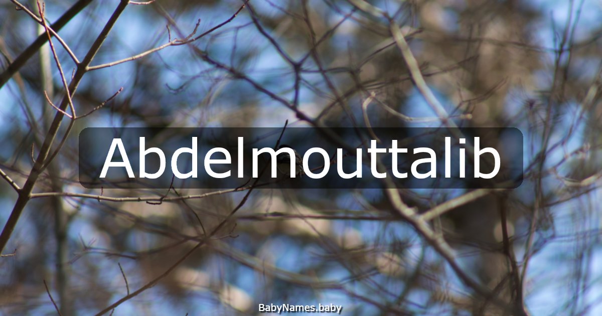 Abdelmouttalib