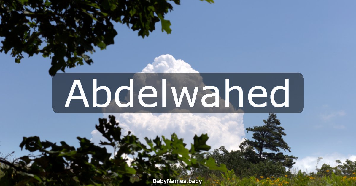 Abdelwahed