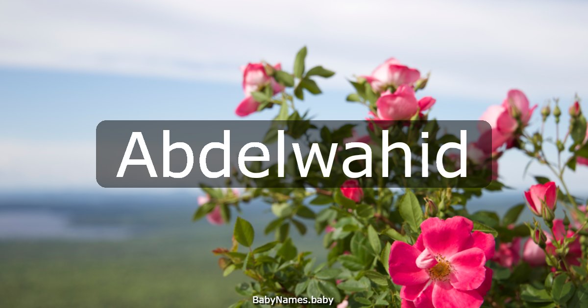 Abdelwahid