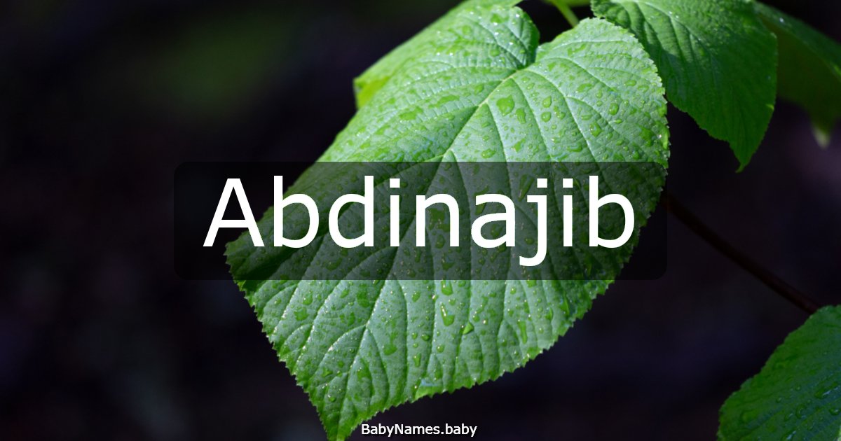 Abdinajib