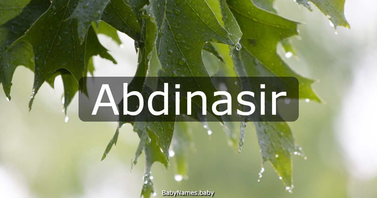 Abdinasir
