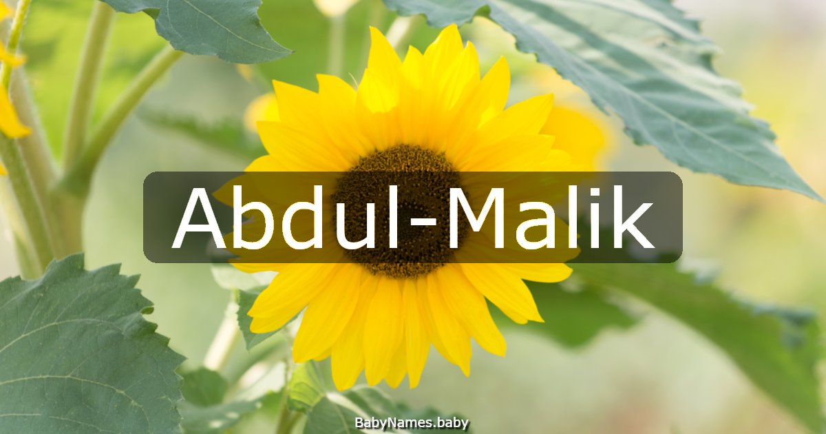 Abdul-Malik