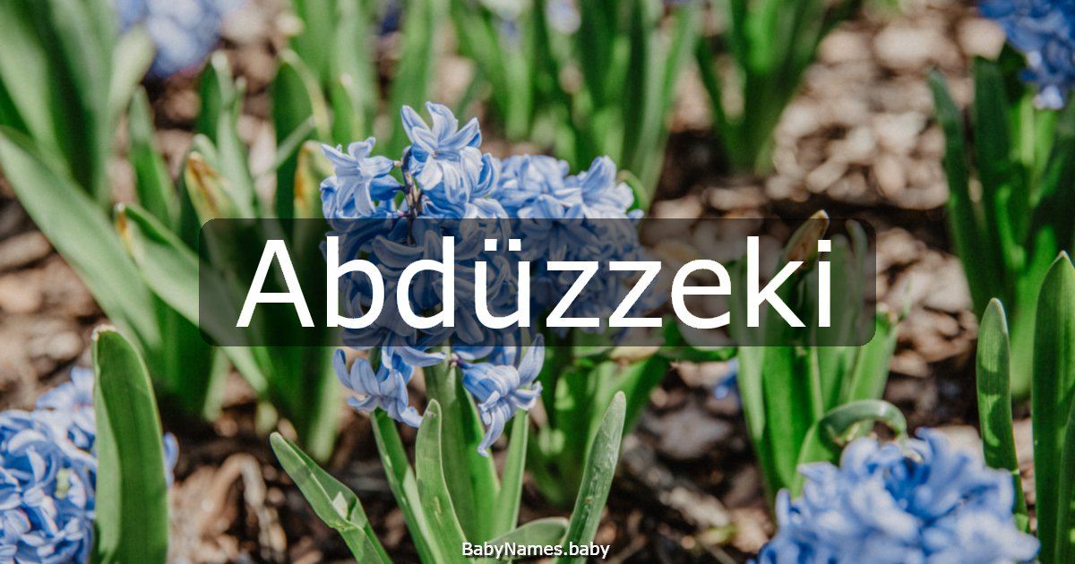 Abdüzzeki