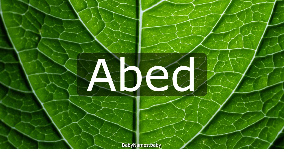 Abed