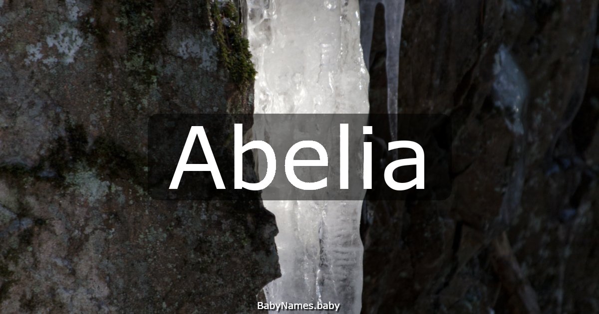 Abelia