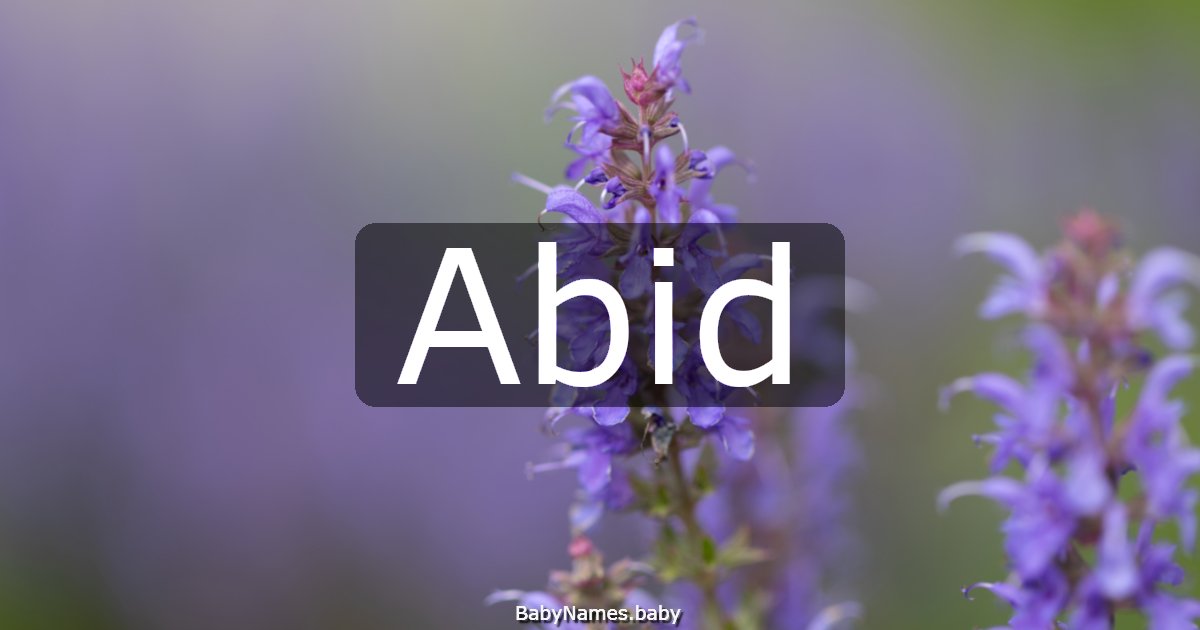 Abid
