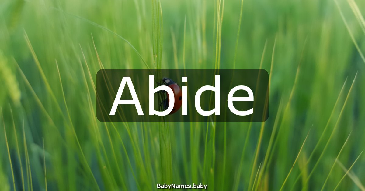 Abide