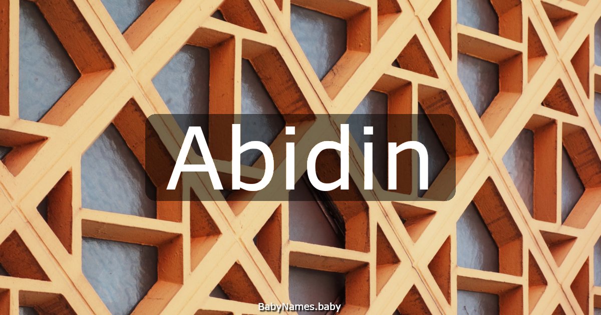 Abidin