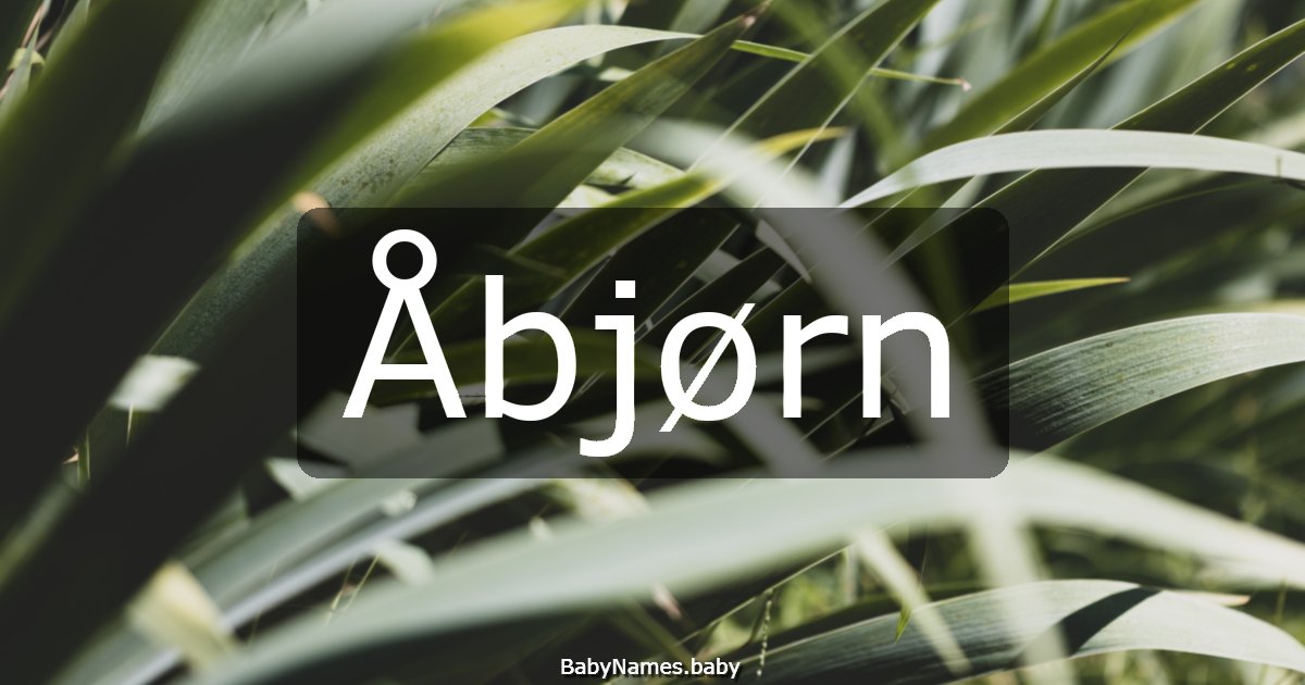 Åbjørn